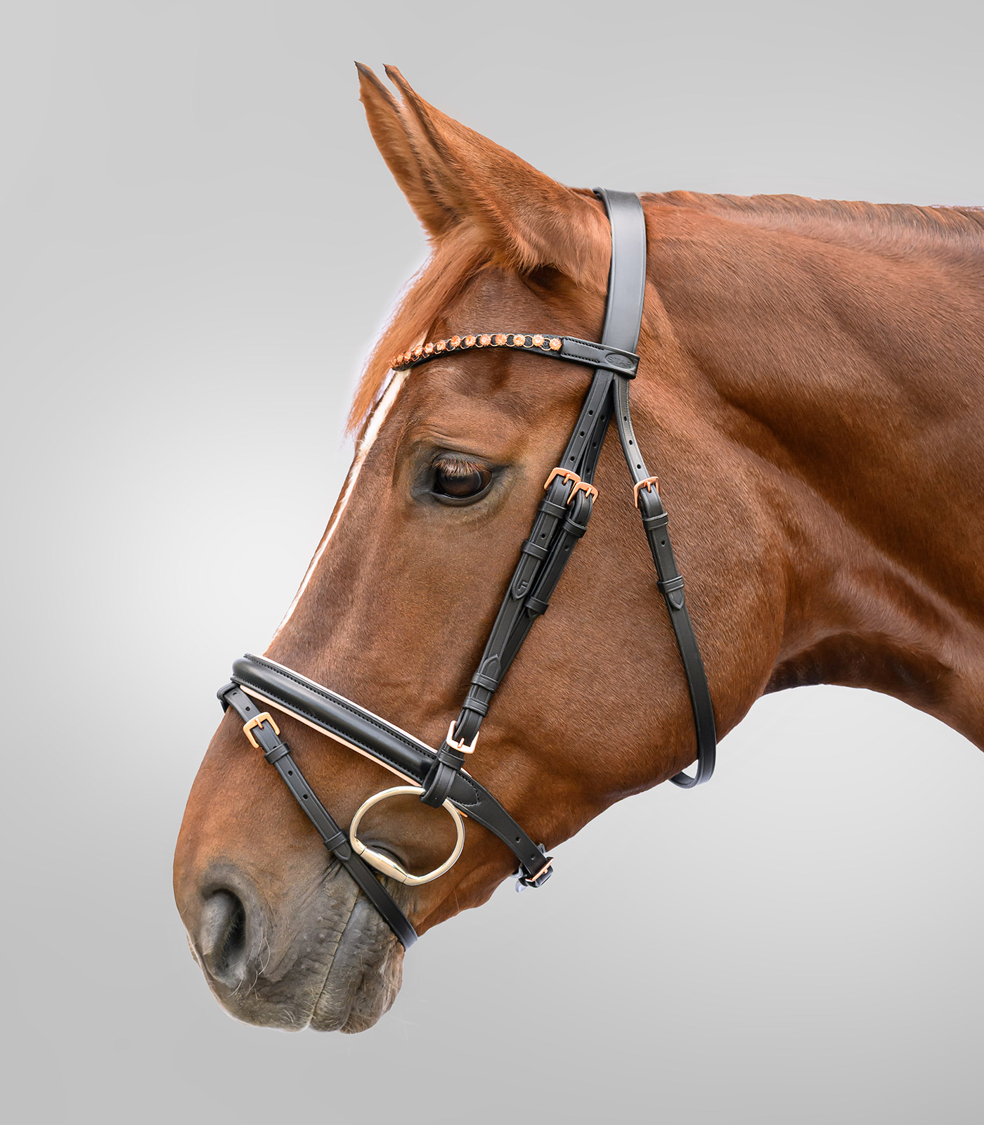 Bridon STAR Or rose noir