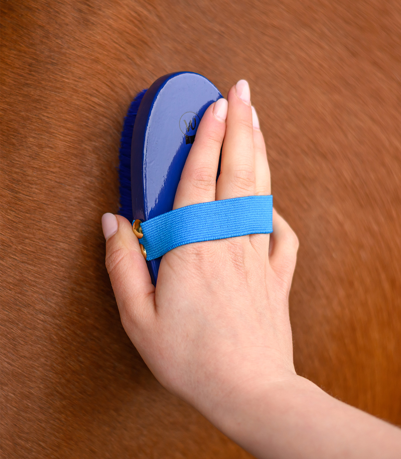 Bouchon pour enfants Petits chevaux
