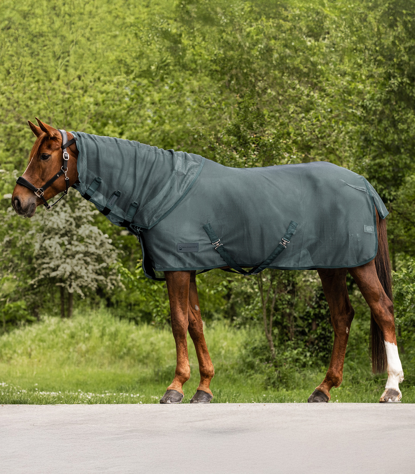 COMFORT fly neck piece pine green