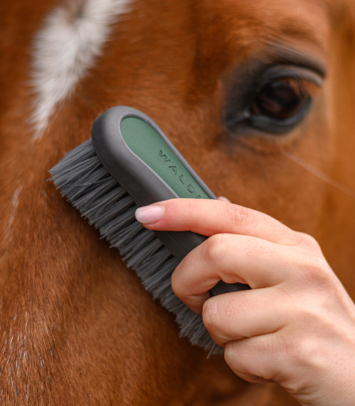 Image alternate text