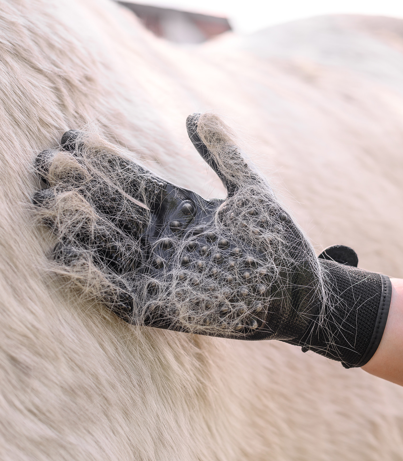 Guanto grooming