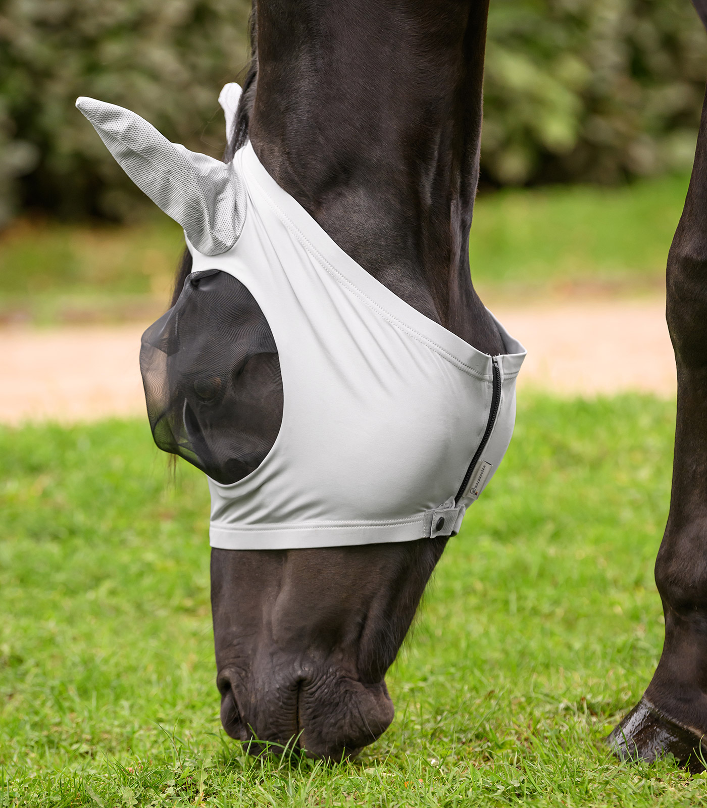 Fliegenmaske Puck Fliegenmaske Puck