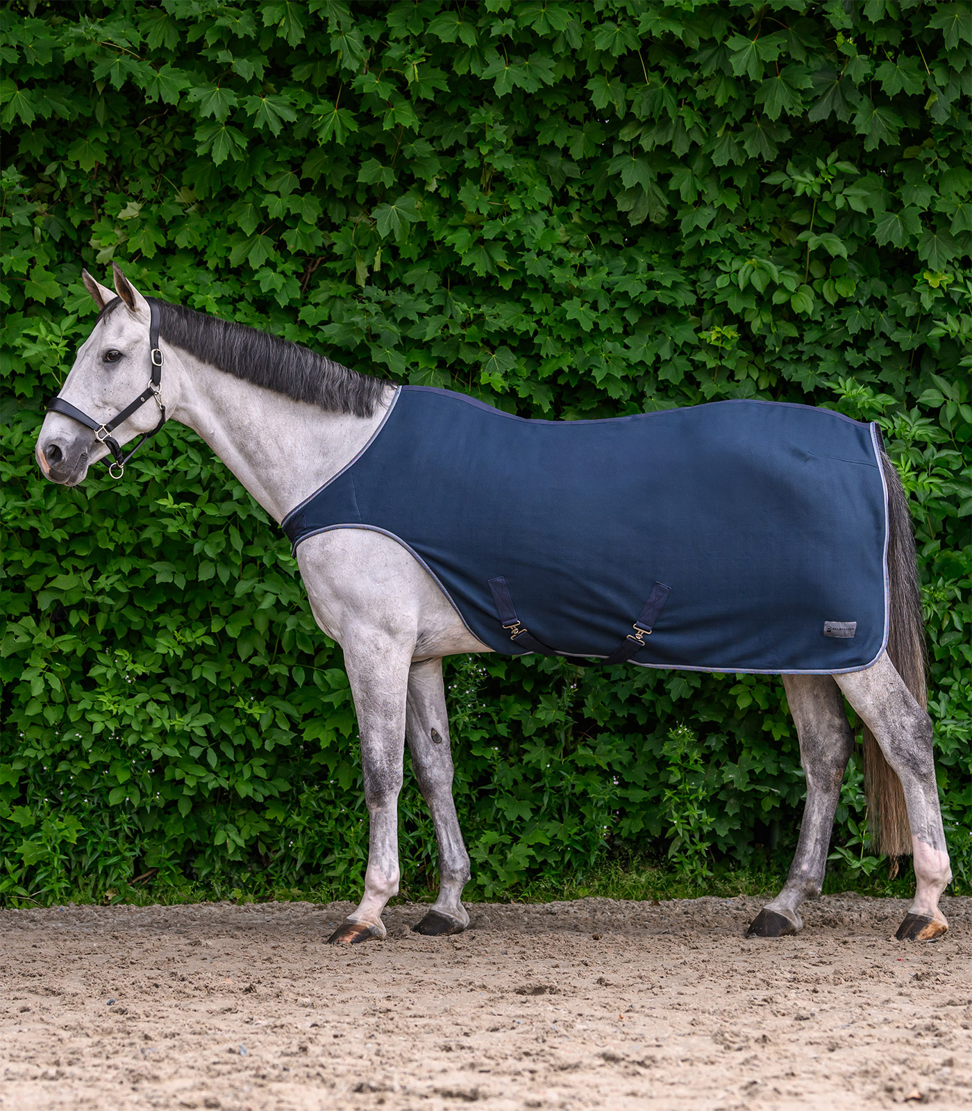 ECONOMIC Fleece-Führmaschinendecke nachtblau