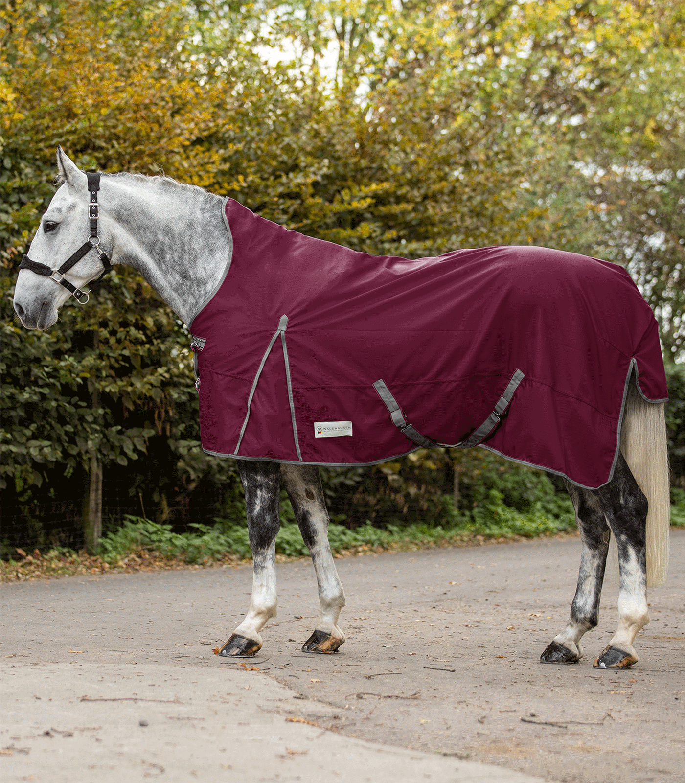 ECONOMIC Outdoordecke, 200 g High Neck burgunderrot
