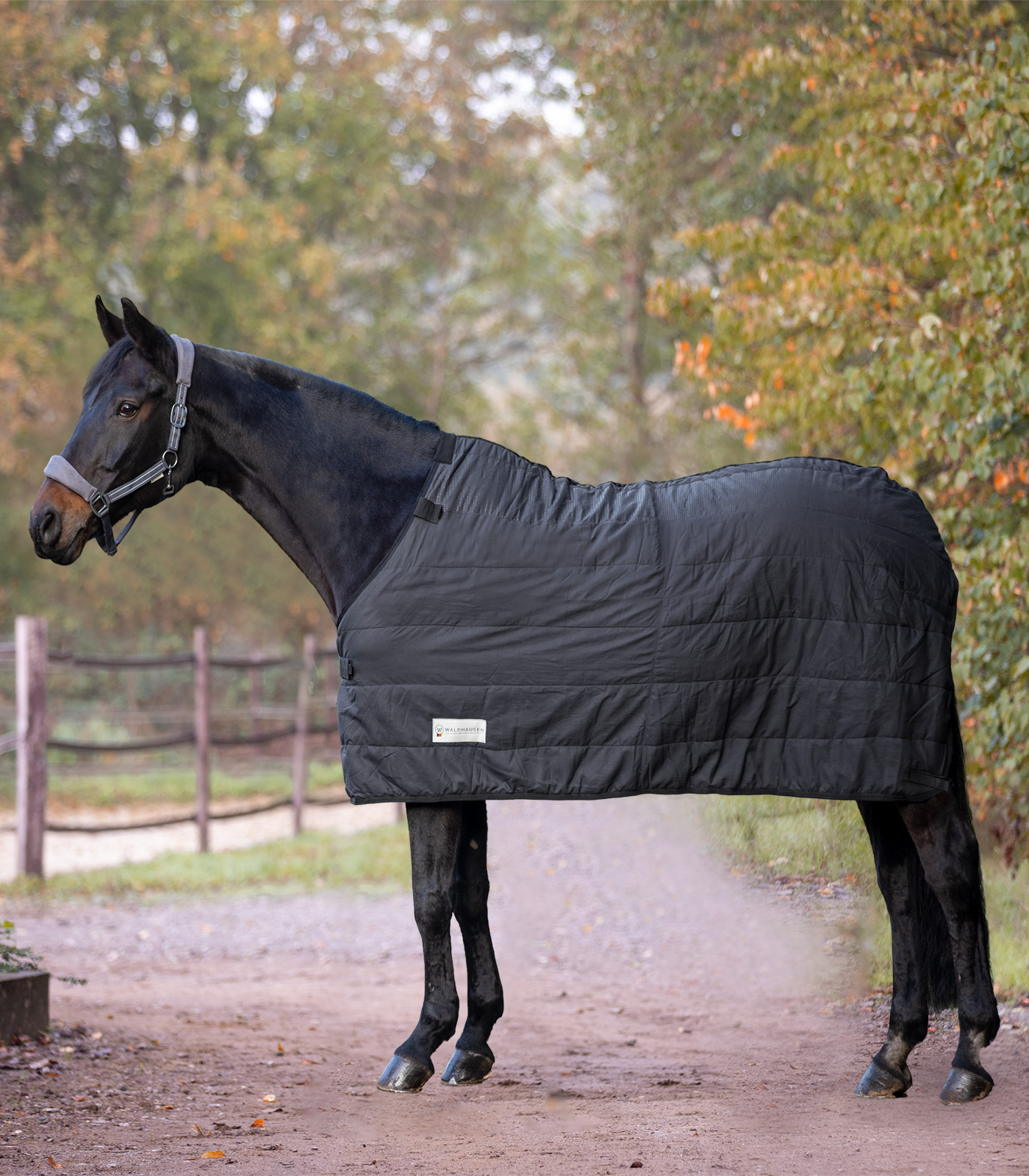 ECONOMIC Thermo Unterdecke, 200 g schwarz