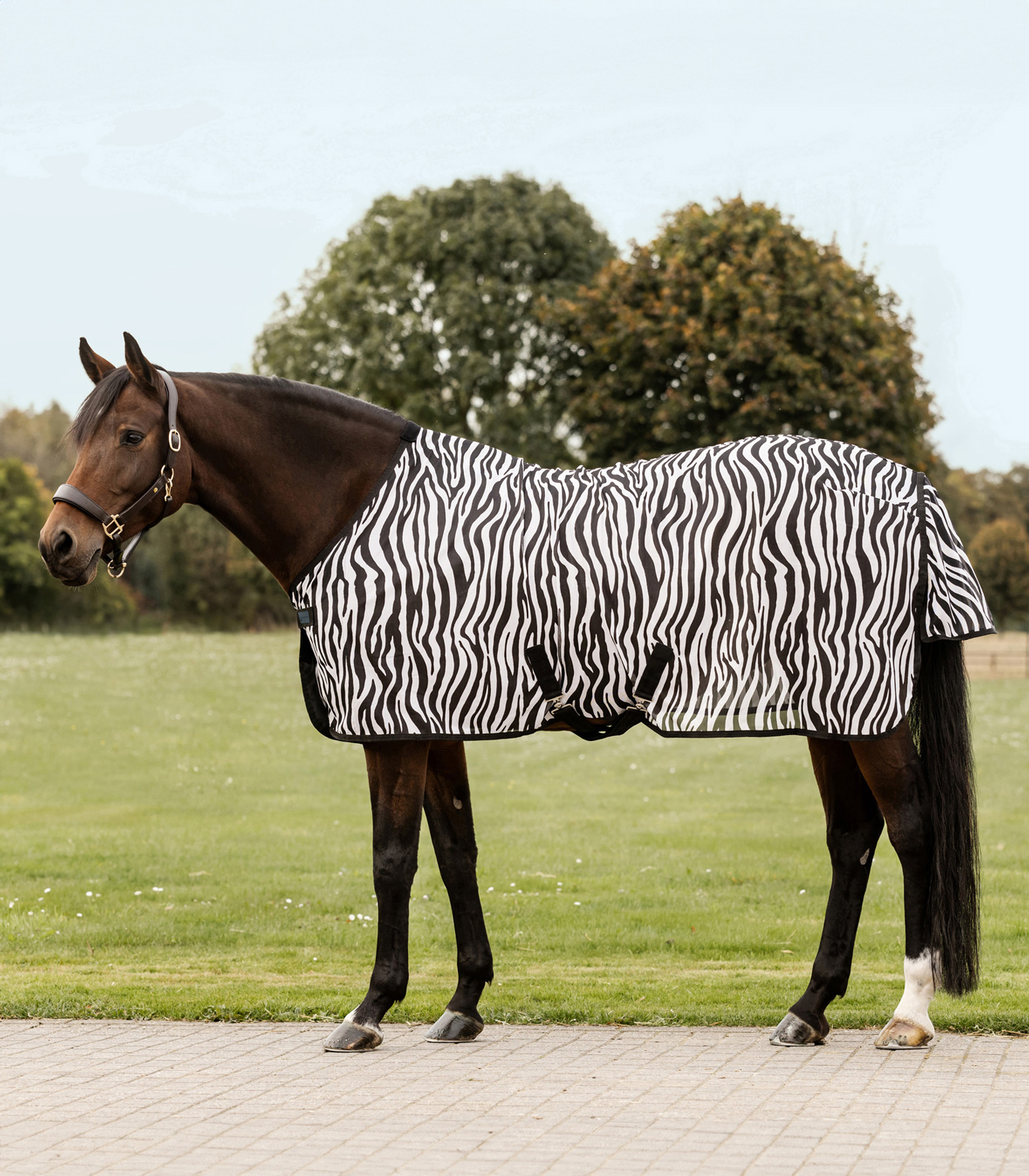 Zebra Fly rug with cross surcingles black/white