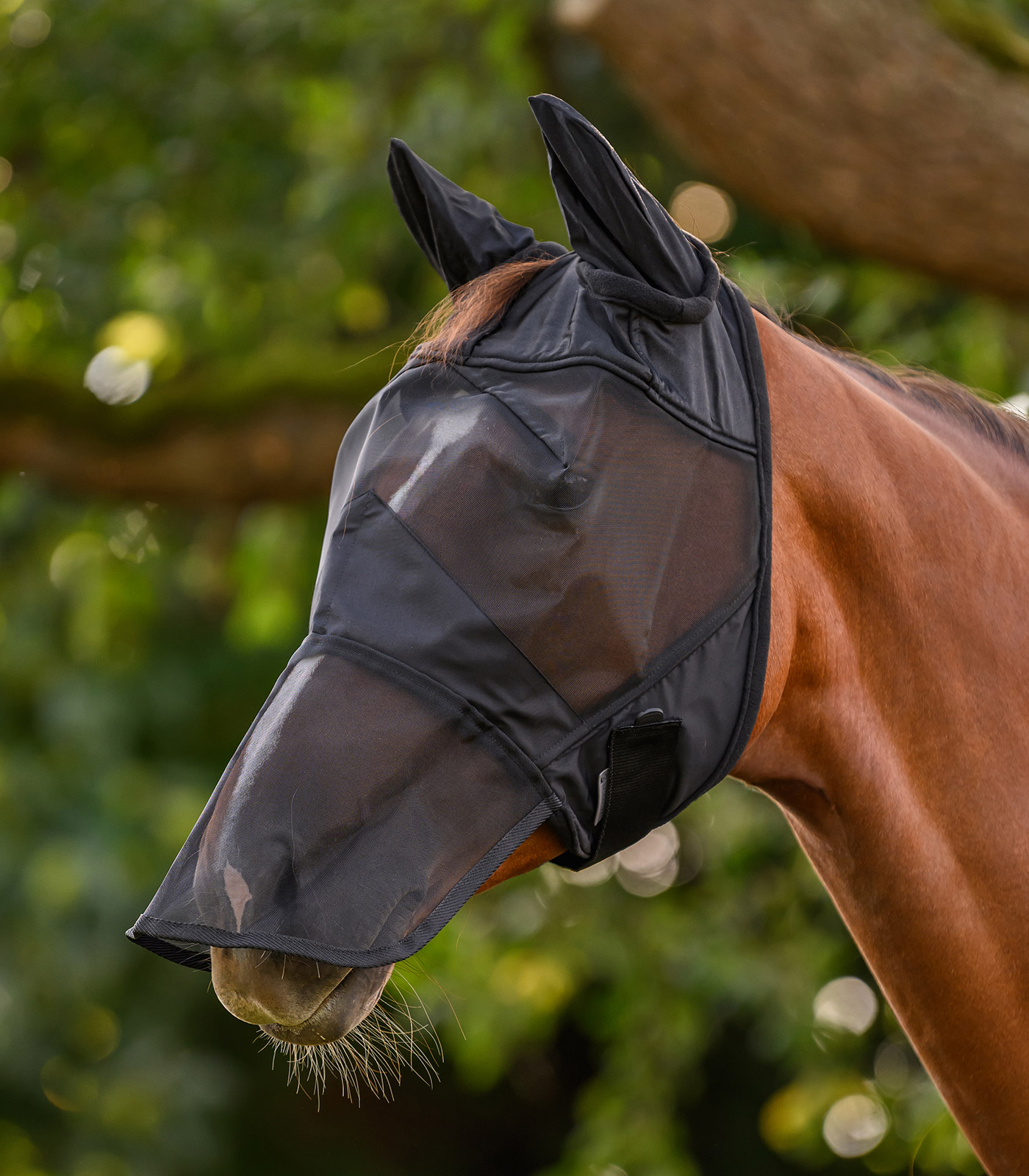 PREMIUM Fliegenmaske mit Ohren- und Nasenschutz schwarz PREMIUM Fliegenmaske mit Ohren- und Nasenschutz schwarz