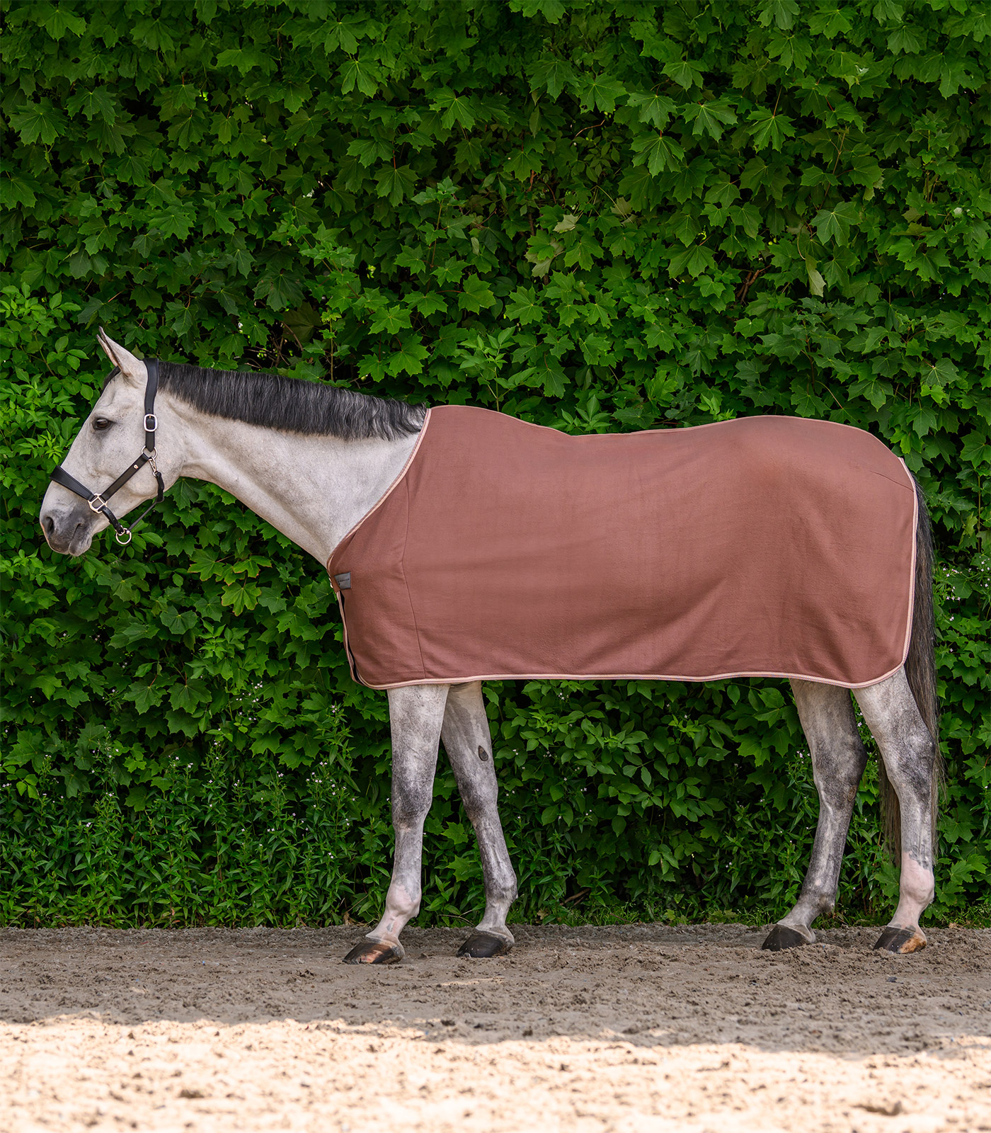 Coperta in pile ECONOMIC moka