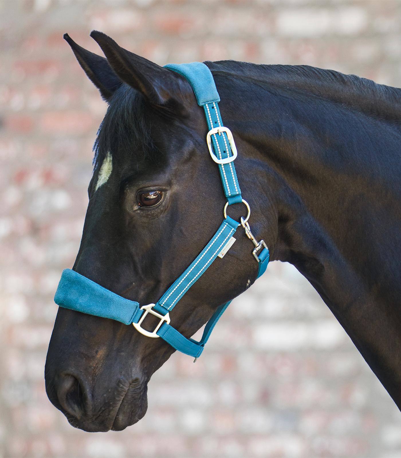 Alcantara halter teal