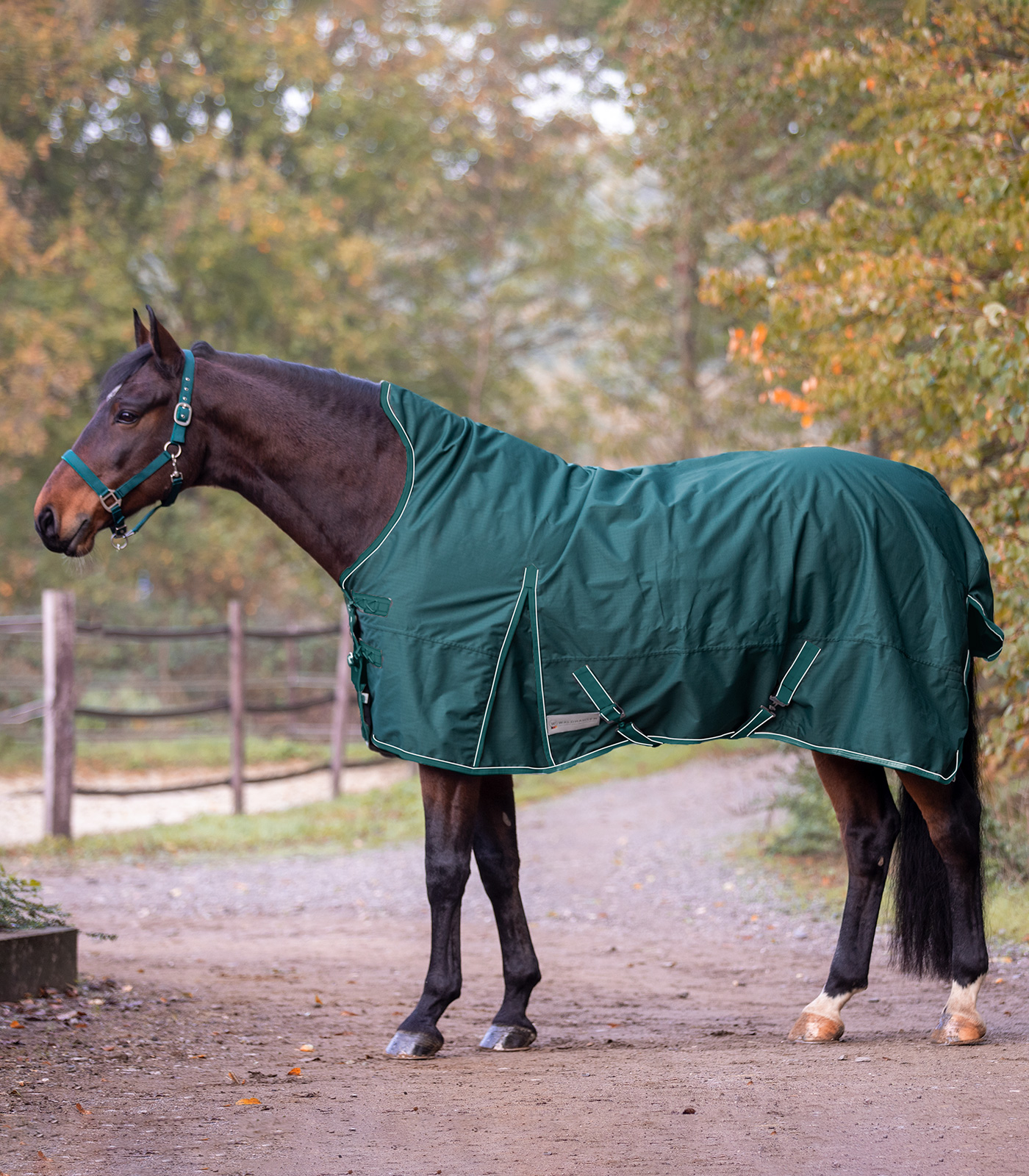 ECONOMIC Turnout Rug, lightweight, high neck