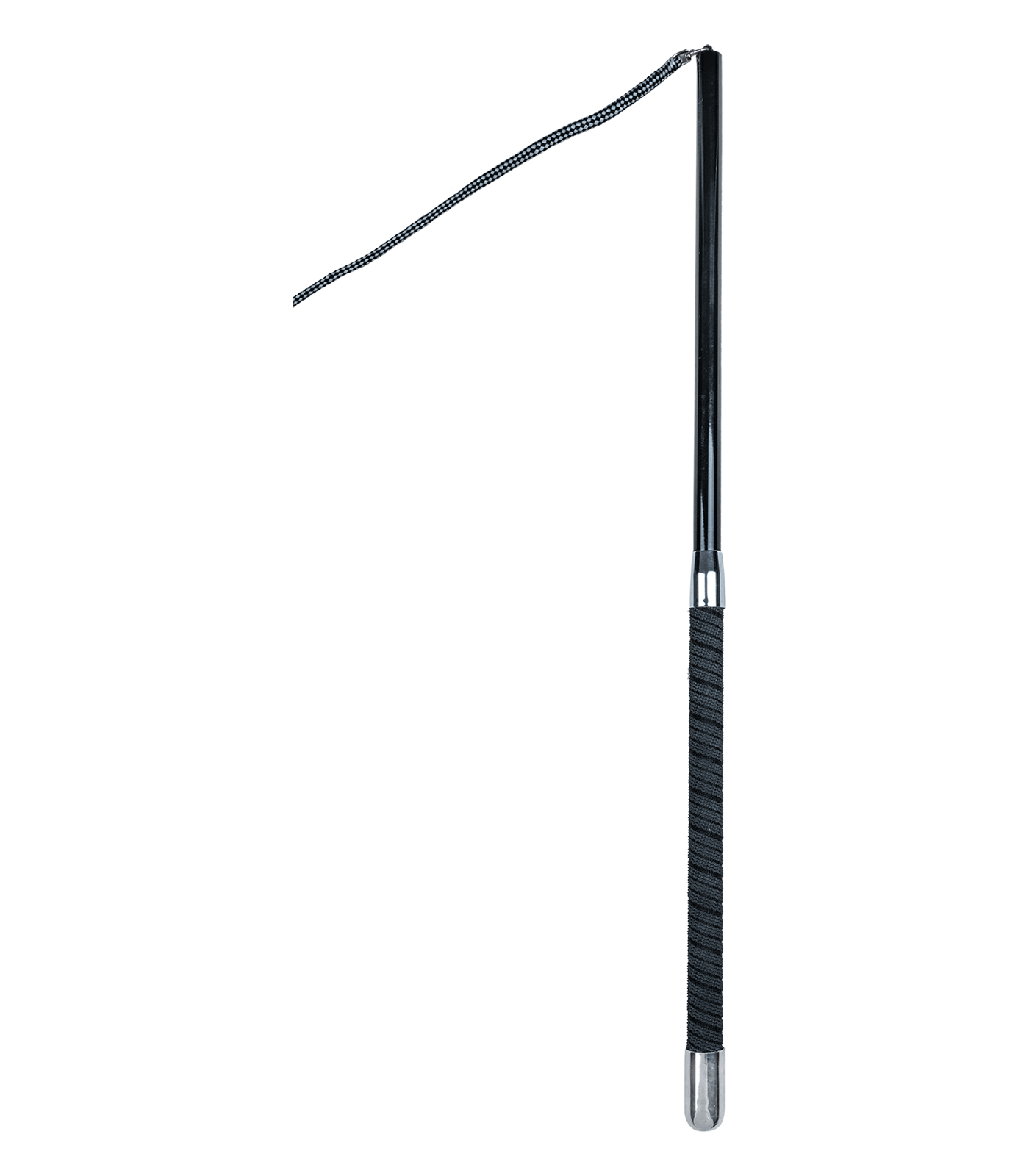 Lunging whip 4-piece, super lightweight
