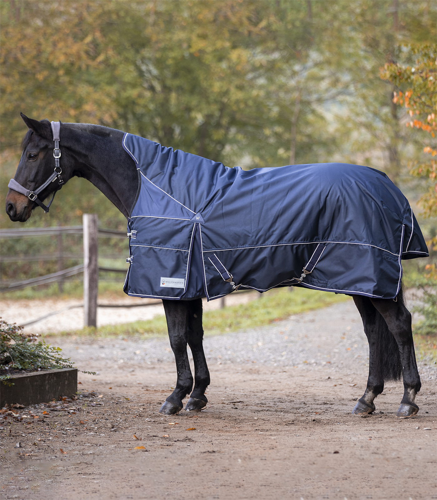 PREMIUM Turnout Rug, 200 g, high neck