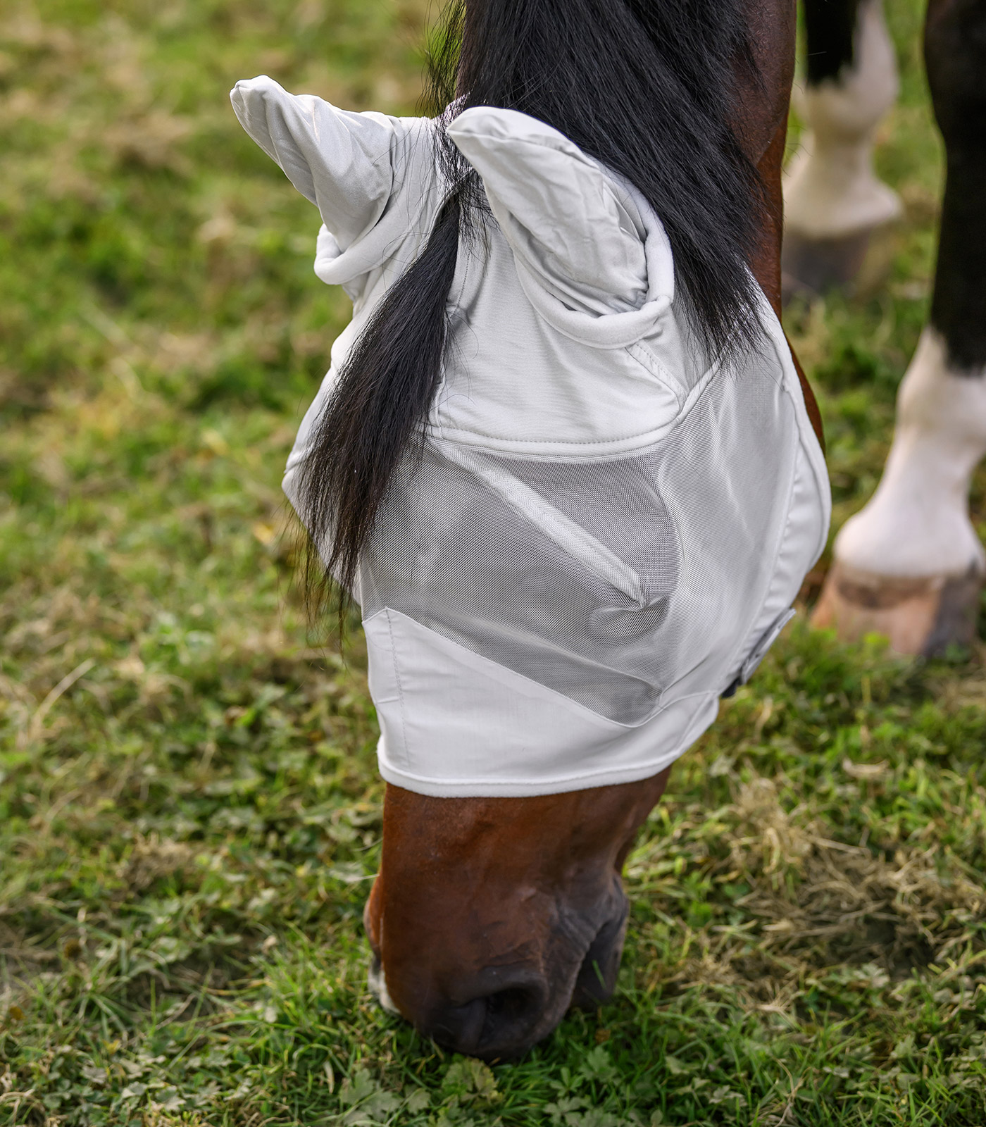 PREMIUM Fly mask with ear protection PREMIUM Fly mask with ear protection