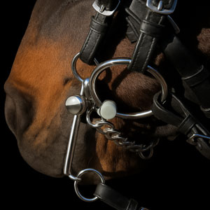 Image alternate text