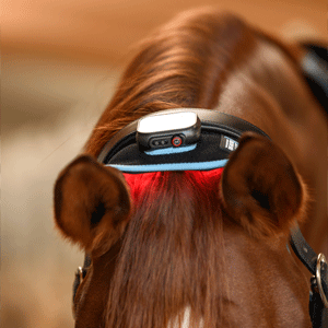 Image alternate text