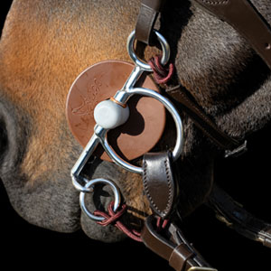 Image alternate text