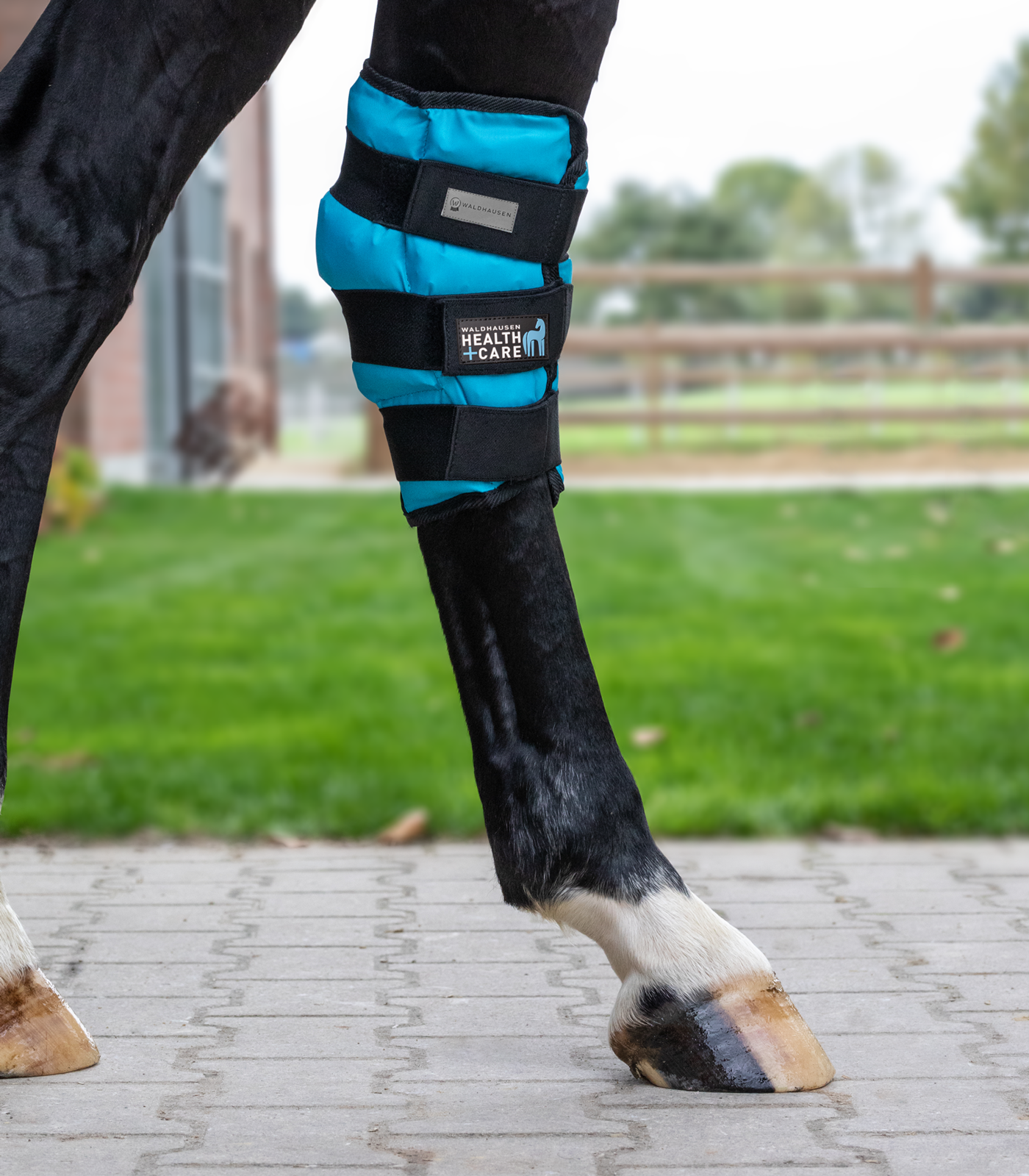 Waldhausen Health + Care Sprunggelenks Kühlgamasche Gel, Stück