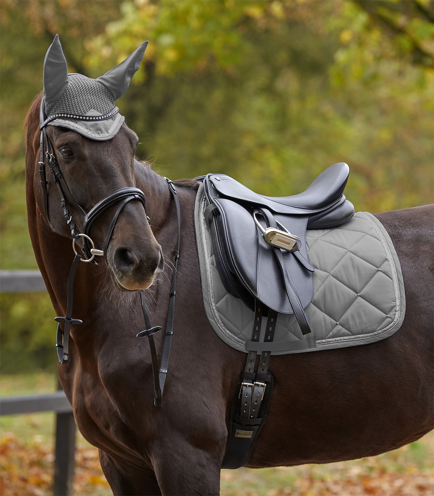 Mantilla Competition