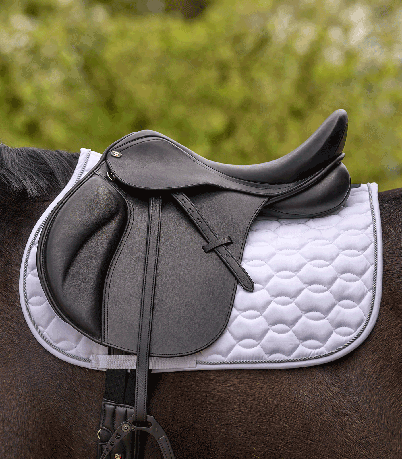 Chabraque Ancona blanc/argent
