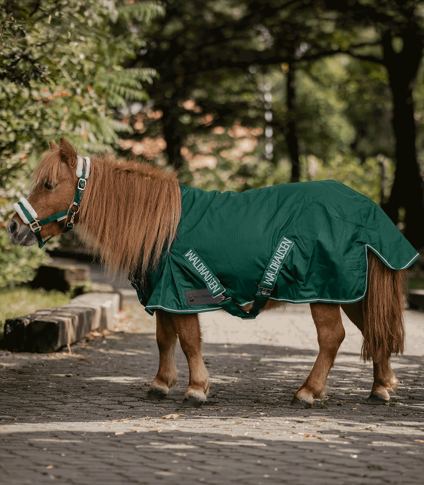 COMFORT Shetty-Regendecke, 100g tannengrün
