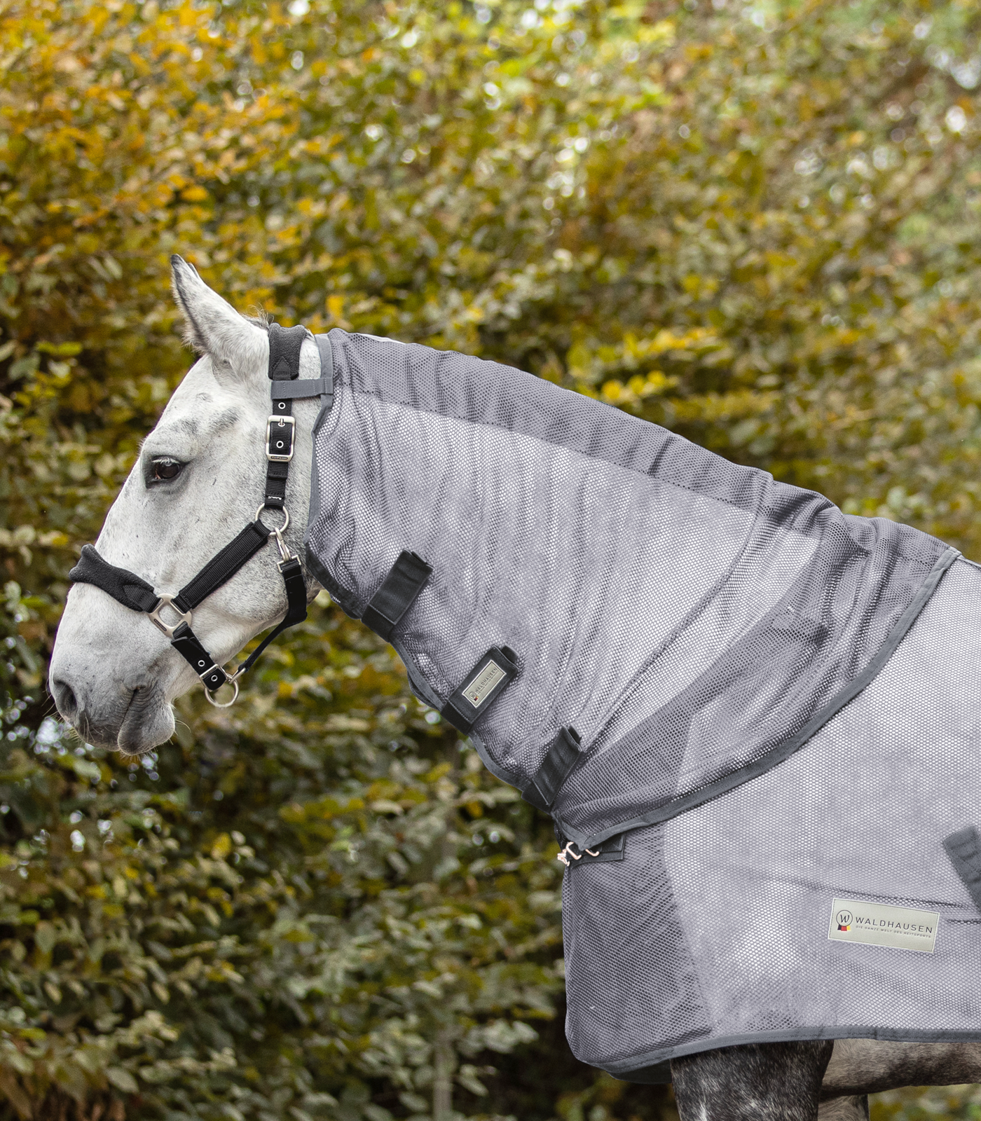 Cuello con mosquero COMFORT gris