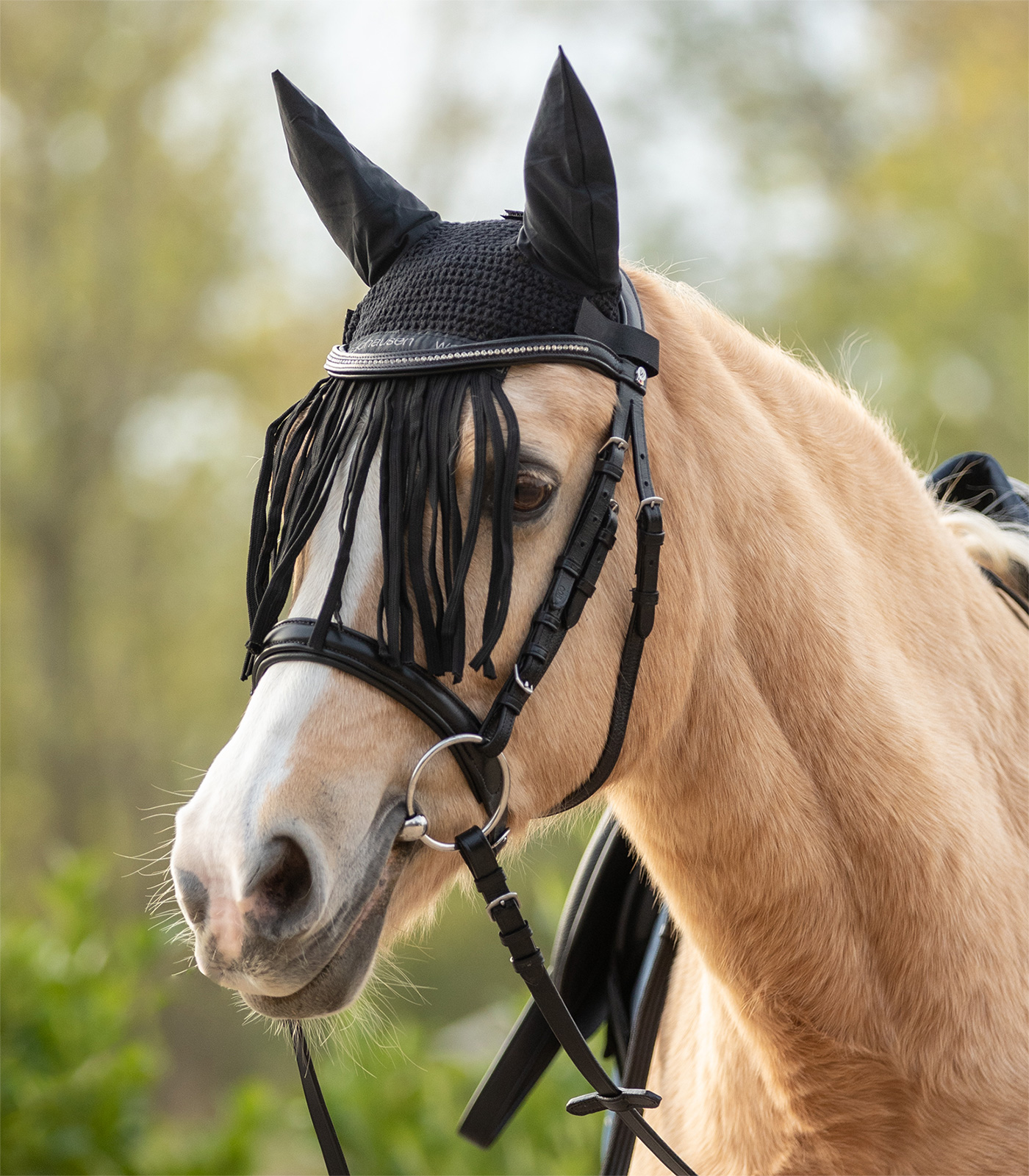 Fly Veil with Fringe black