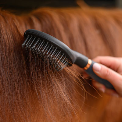 Image alternate text