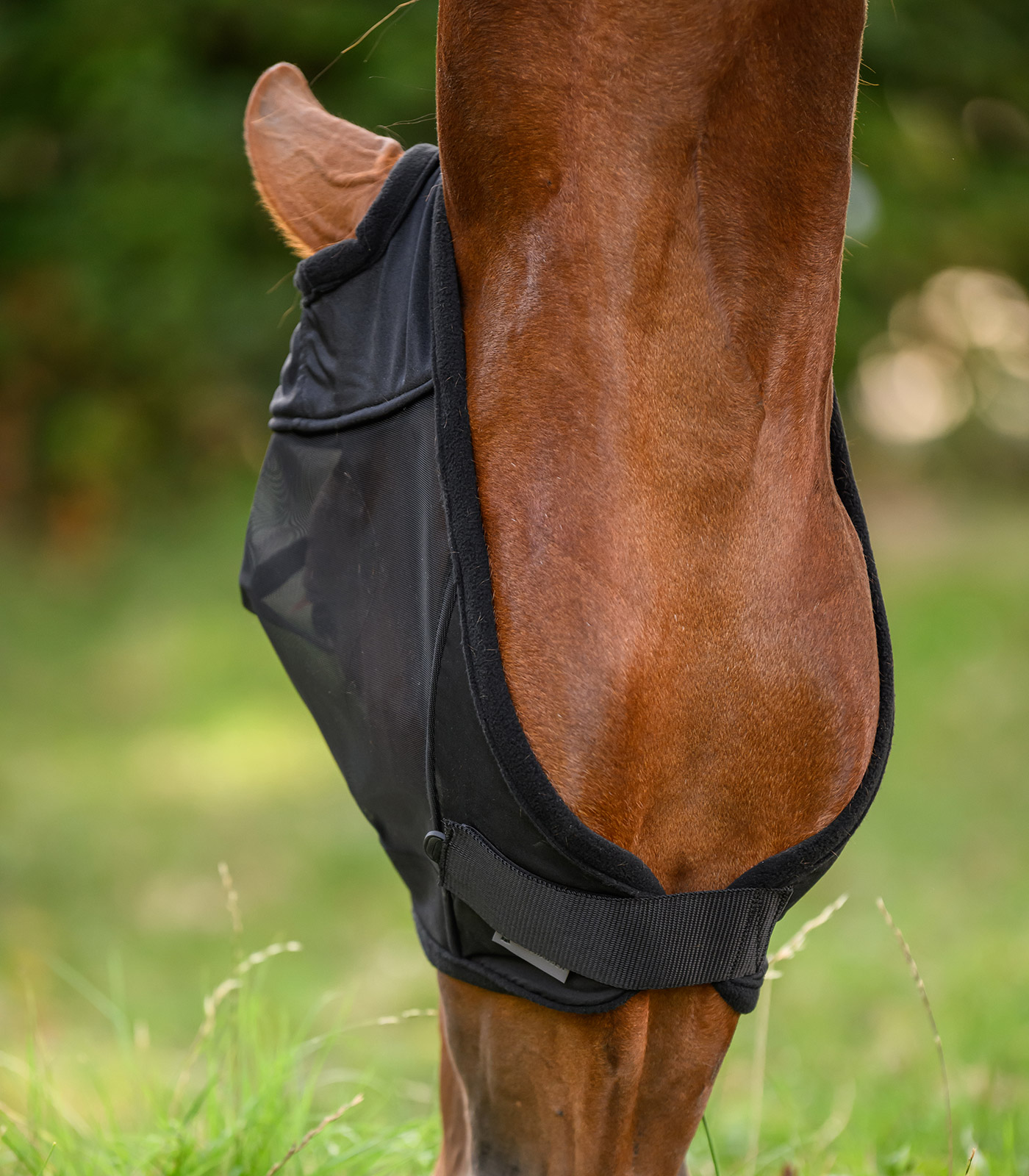 Masque Anti-mouches Cheval United Sportproducts - Sans Protection Oreilles - Taille Demi-sang - Noir Masque Anti-mouches Cheval United Sportproducts - Sans Protection Oreilles - Taille Demi-sang - Noir