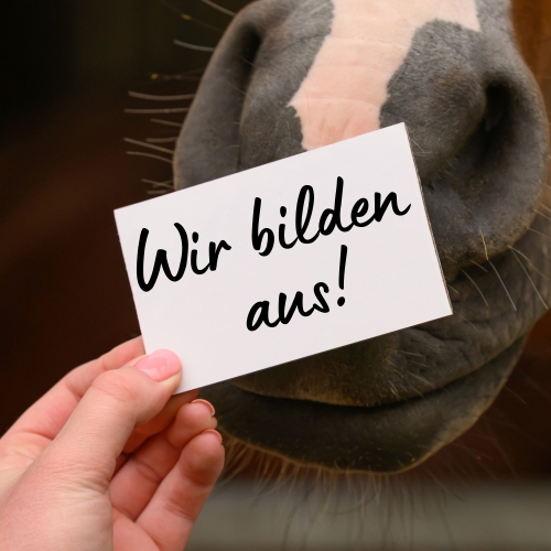  Apprenticeship at Waldhausen 