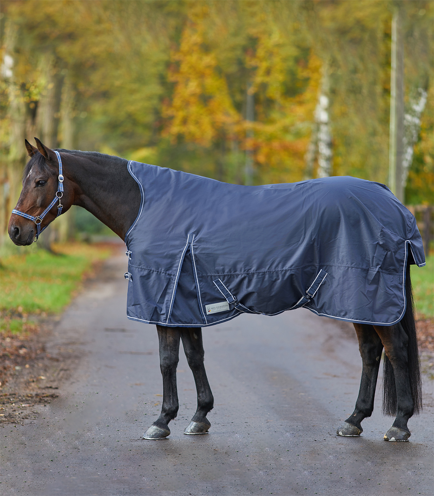 ECONOMIC Turnout Rug, lightweight, high neck night blue