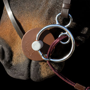 Image alternate text