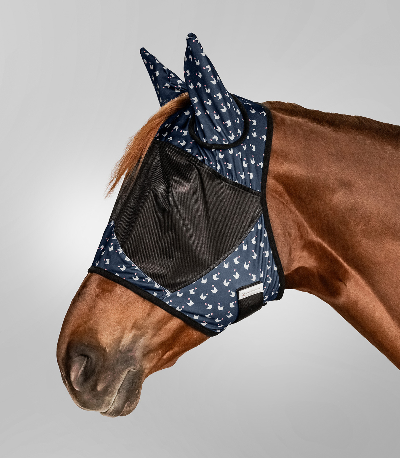 Lucky Fly Mask