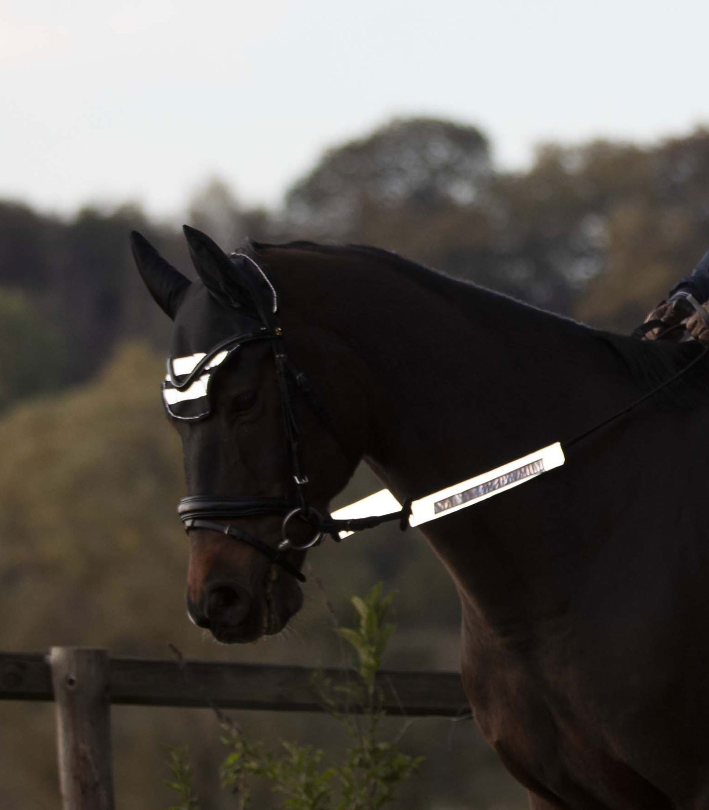 REFLEX  Bridle-Set silver grey