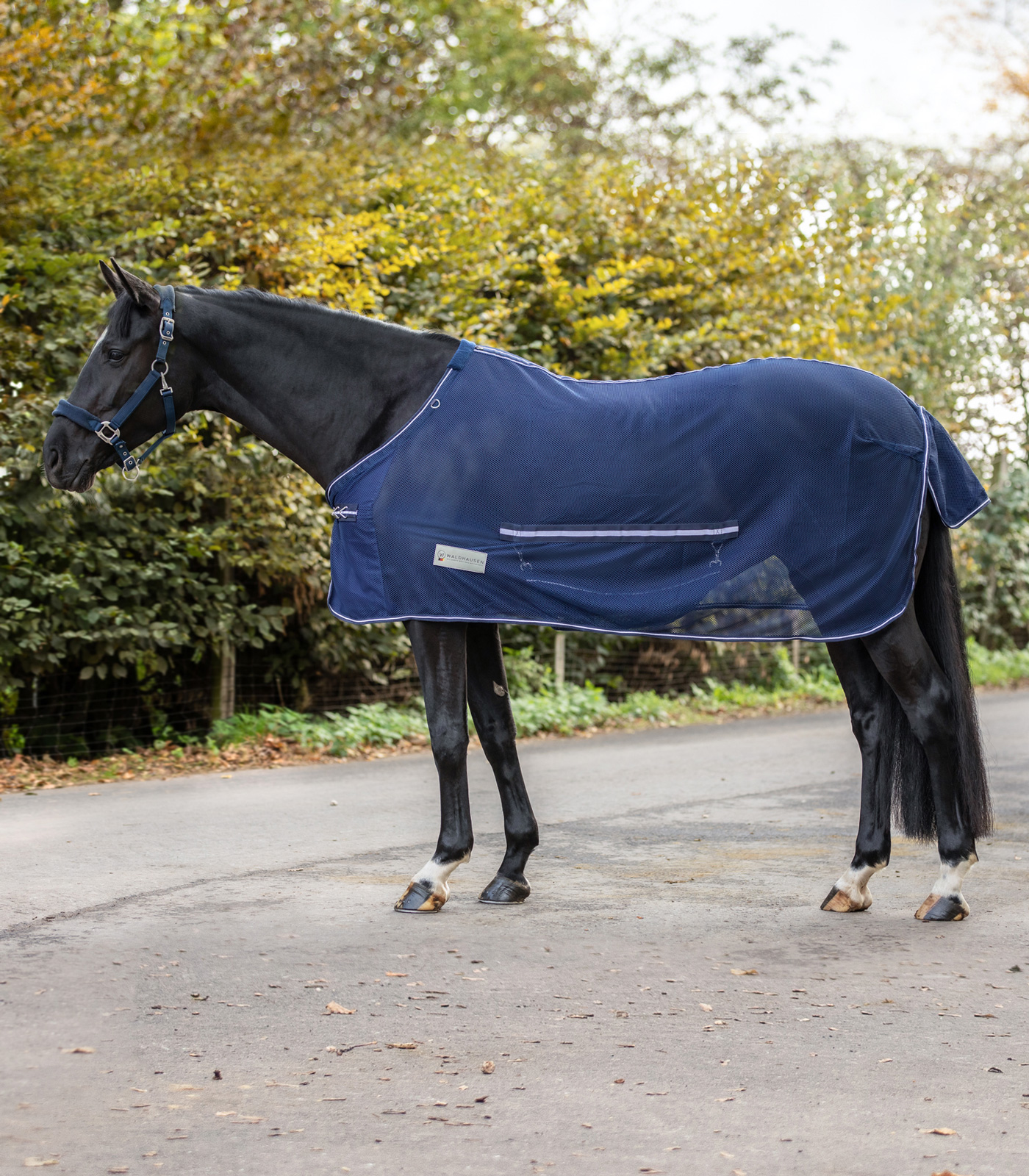 COMFORT Fly Rug, with belly flap night blue