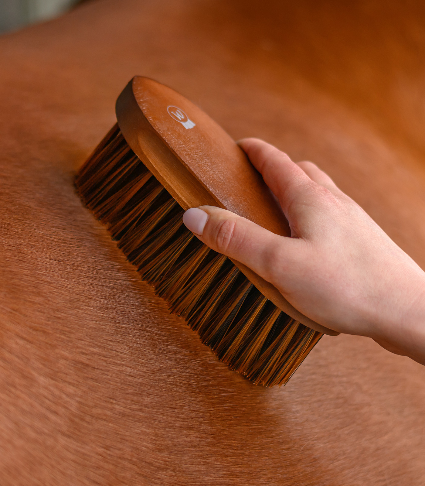 Spazzola per coda e criniera HardWood