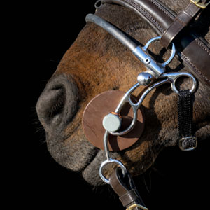 Image alternate text