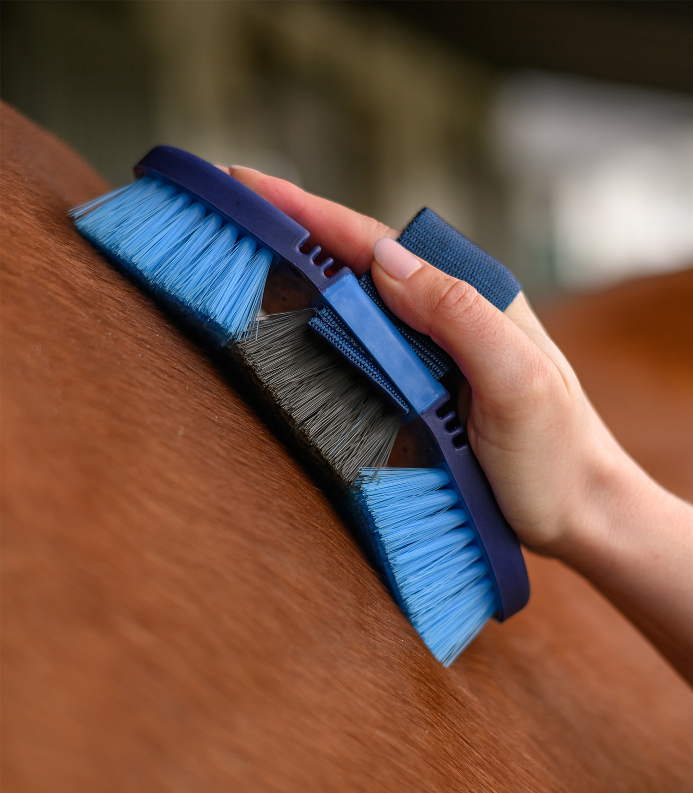 Basic Flexi Body Brush