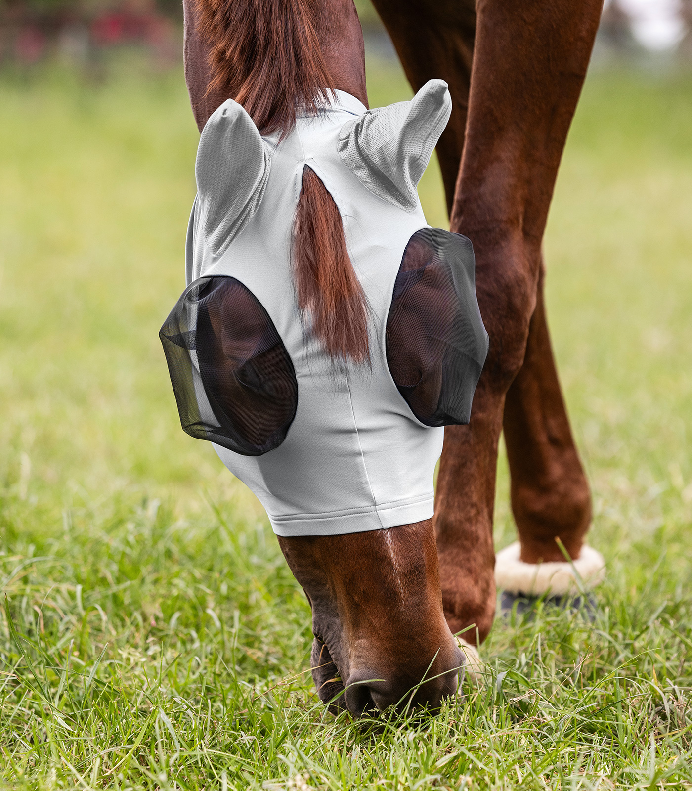 Fliegenmaske Puck Fliegenmaske Puck