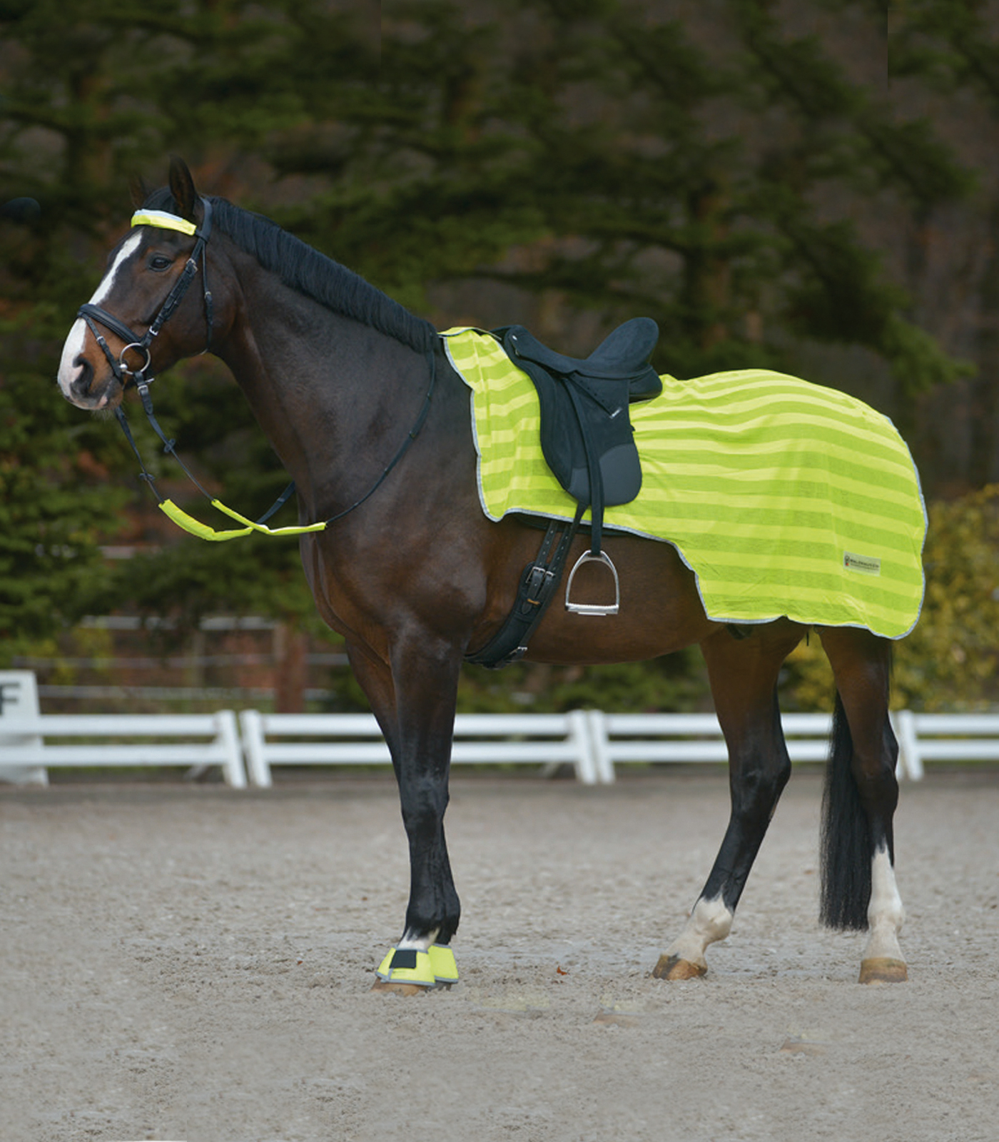 Couvre-Reins Anti-Mouche Cheval Comfort Waldhausen - Tissu Mesh Respirant