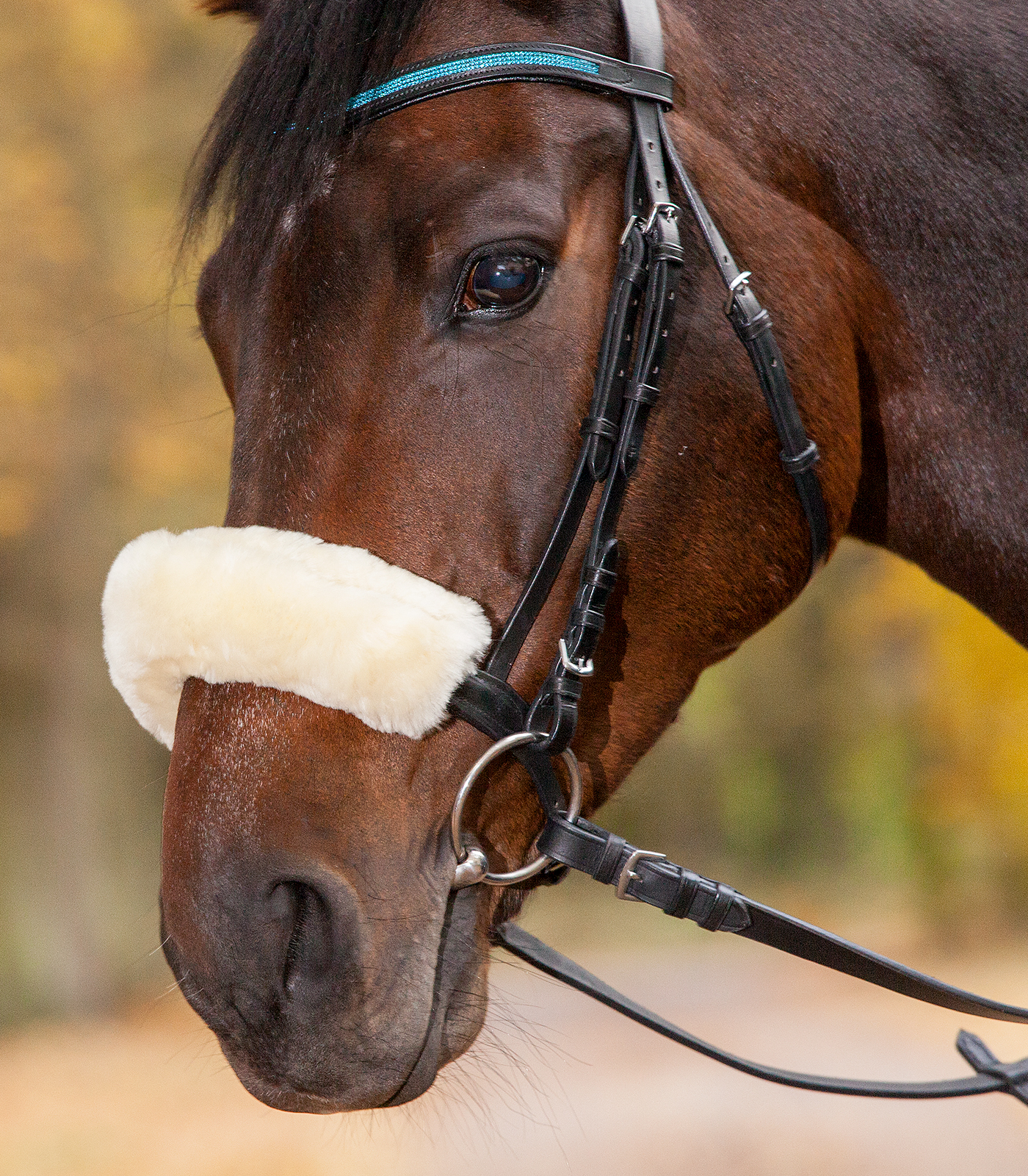 Real Lambskin Noseband - or Headpiece-Cushioning