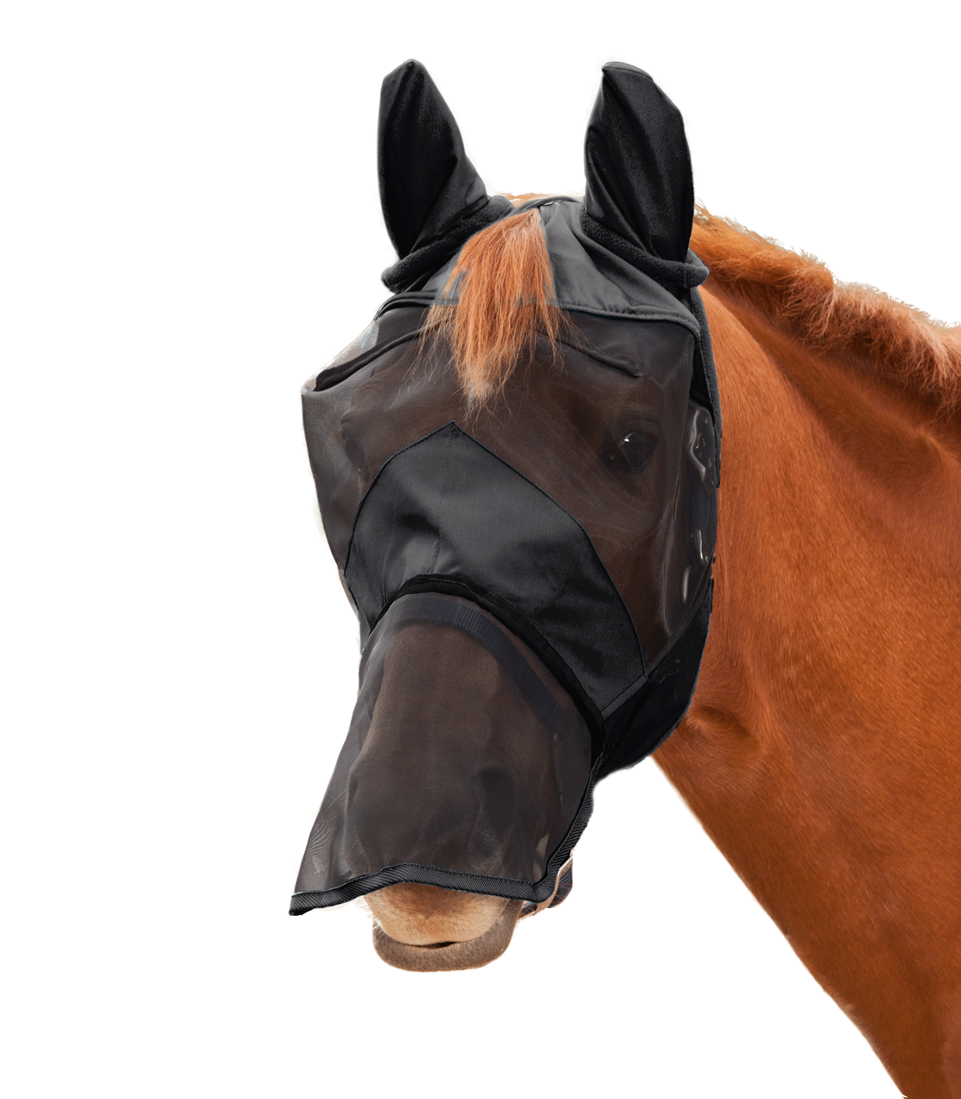 PREMIUM 3-in-1 Fly Mask