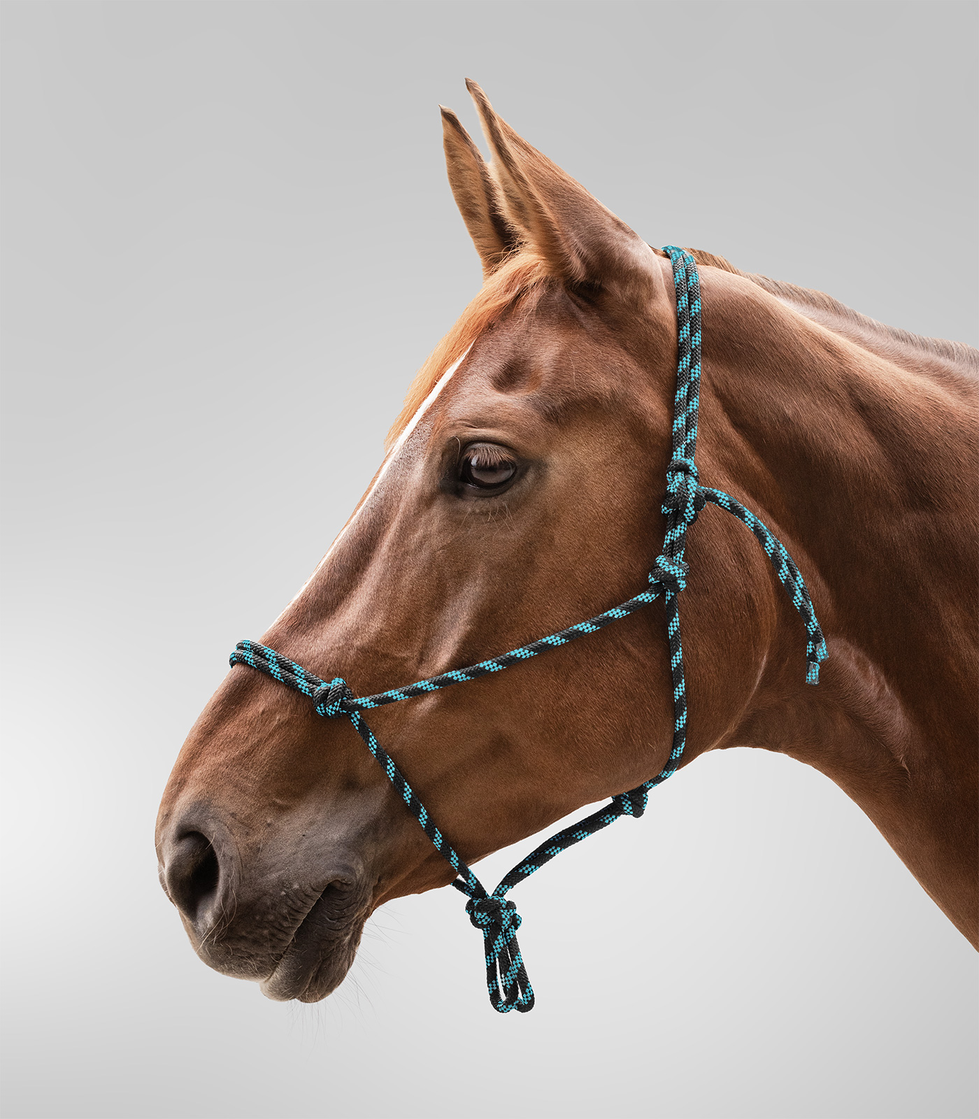 Knotted Halter
