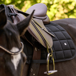 Waldhausen Cinghie per cavallo - acquista su Waldhausen Cinghie per cavallo - acquista su