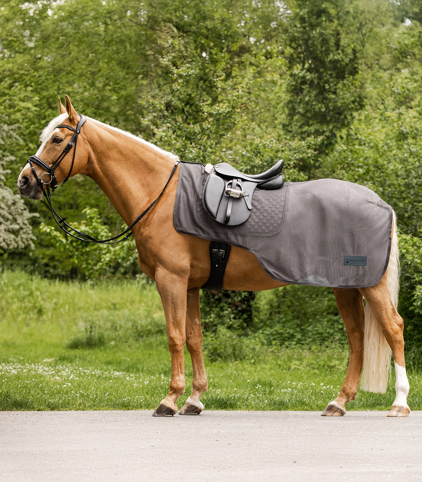Bederní deka proti hmyzu Waldhausen Comfort