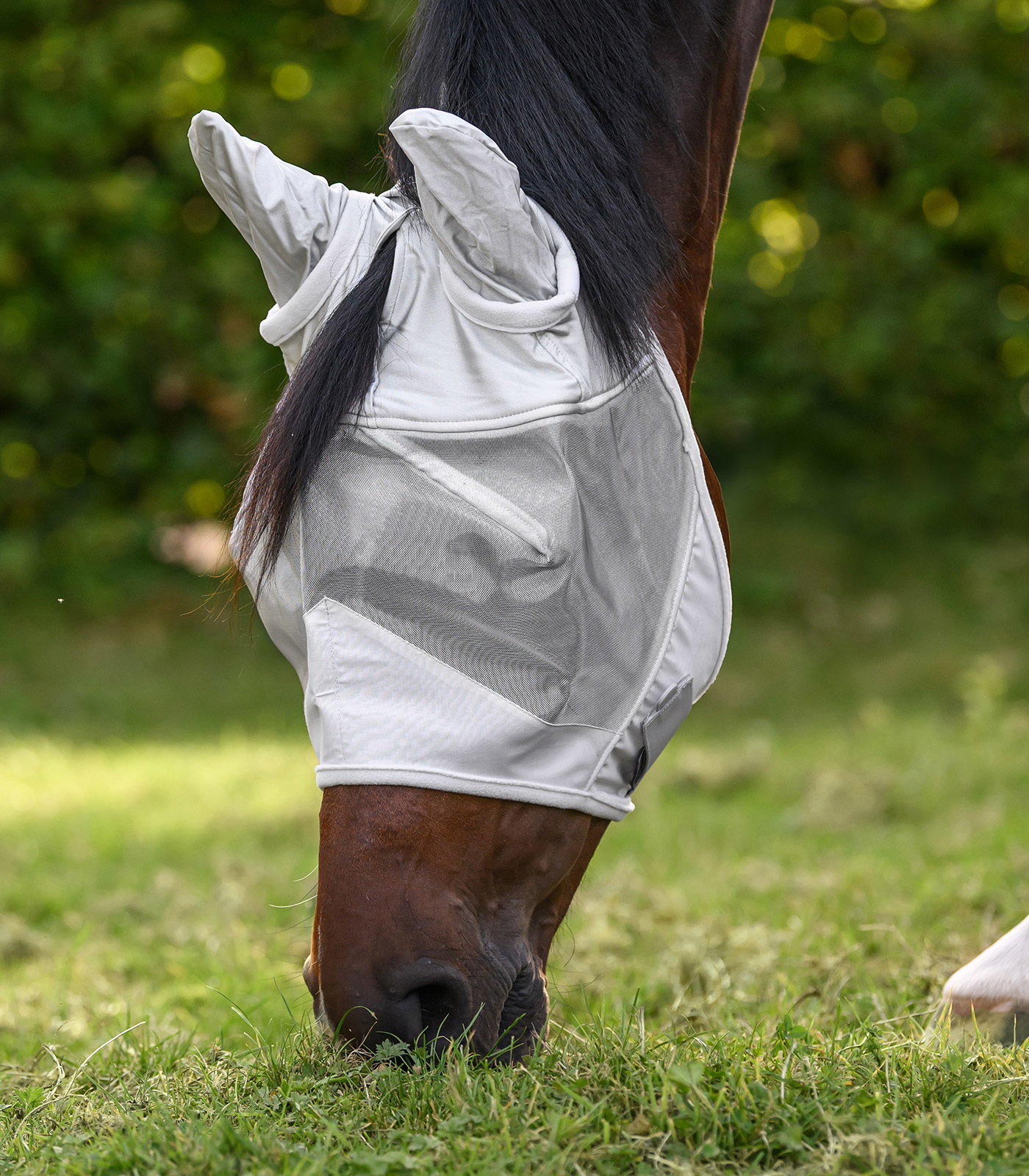 PREMIUM Fly mask with ear protection PREMIUM Fly mask with ear protection