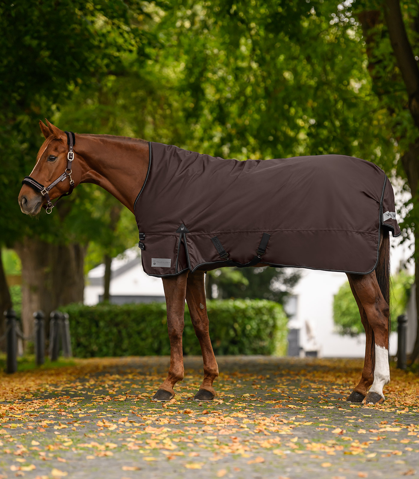 ARCTIC turnout rug, High Neck, Light espresso