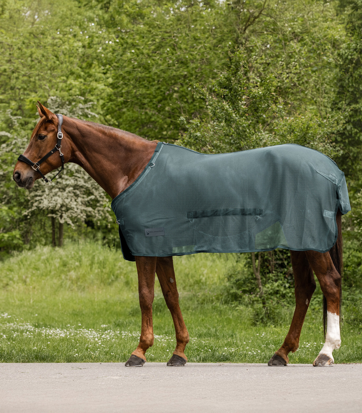 COMFORT Fly rug with belly flap pine green