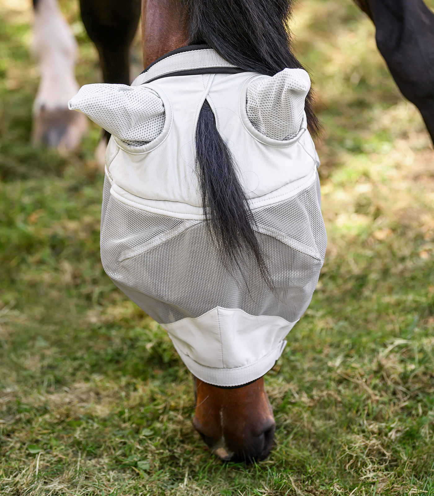 PREMIUM Fly mask with Halter
