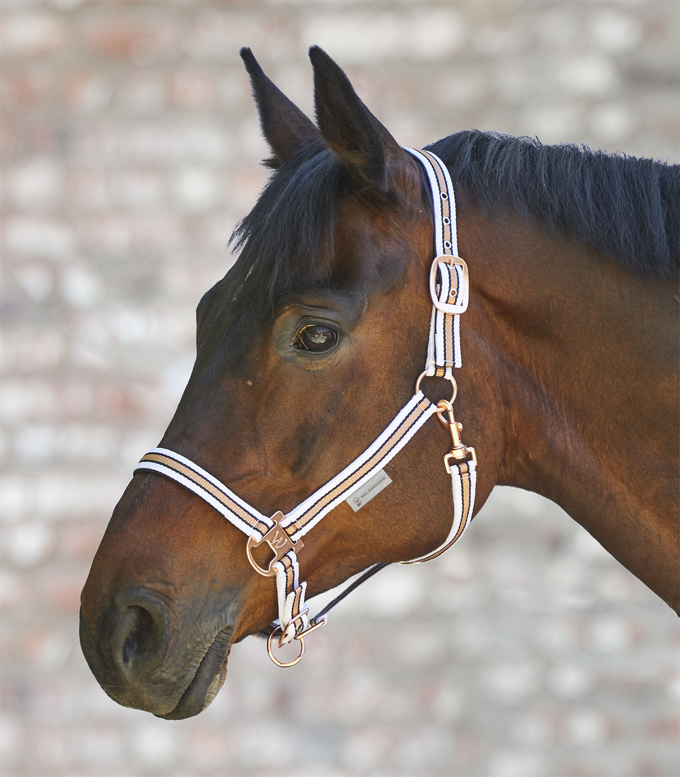 Shine Halter white/rose gold