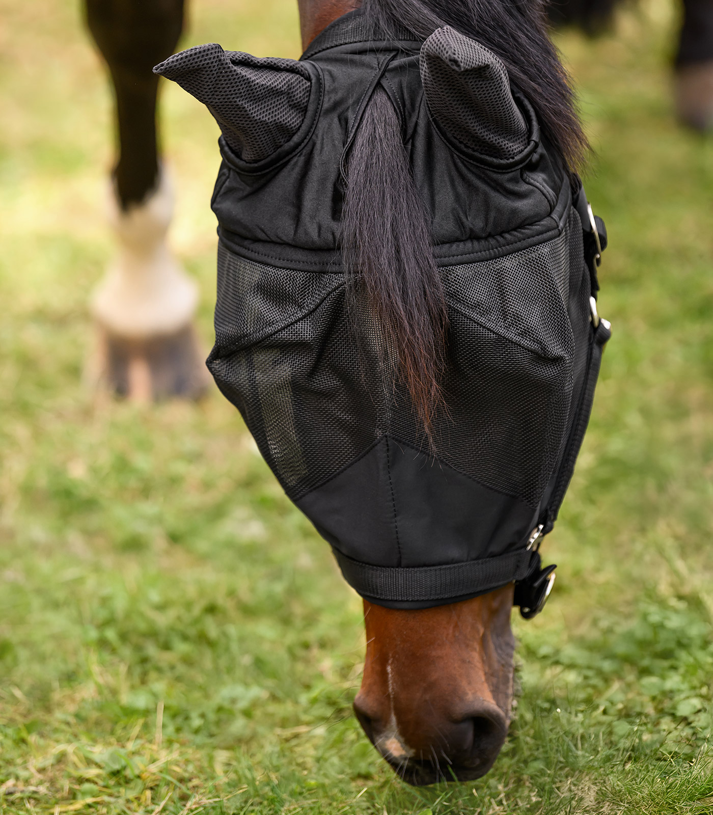 PREMIUM Fly mask with Halter